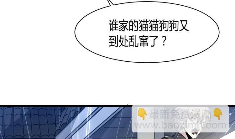 第23话 法盲，我报警！