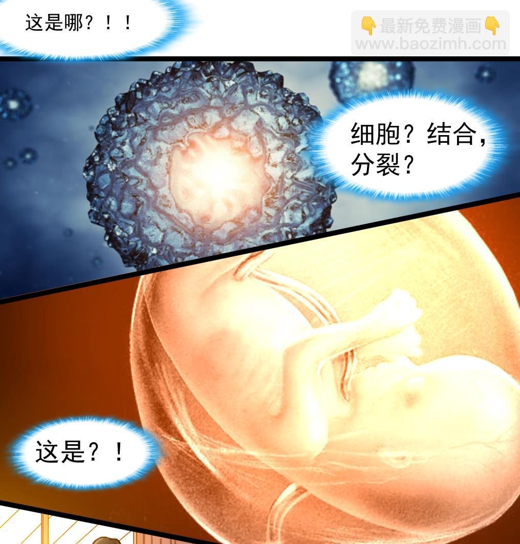 第73话 天神的视角。