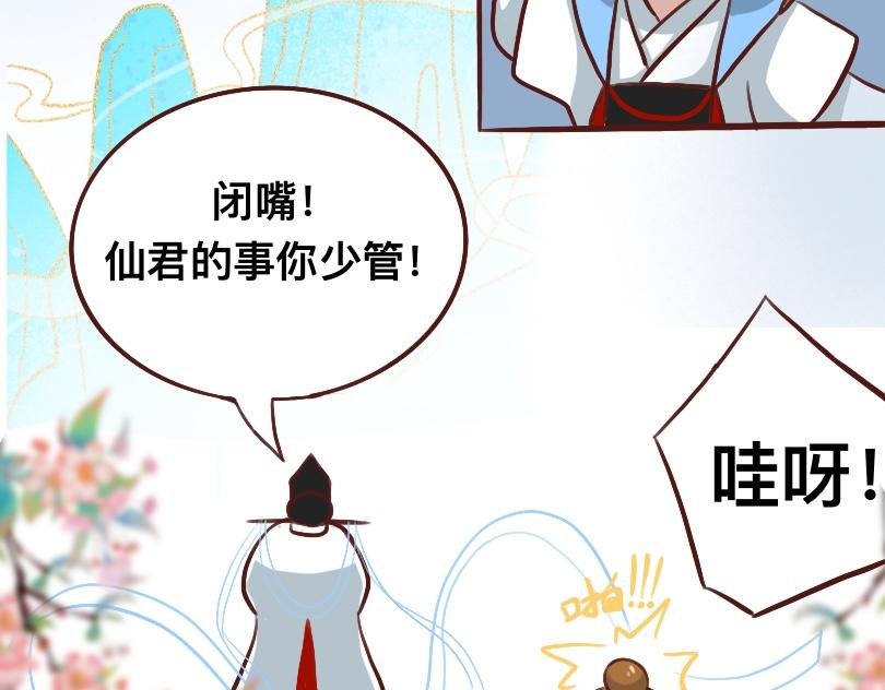 第三章 仙君的事你少管