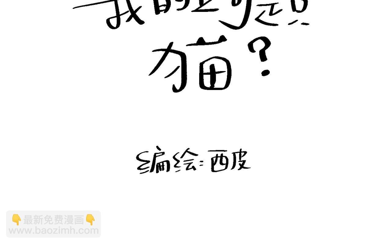 终于拥有了工作！