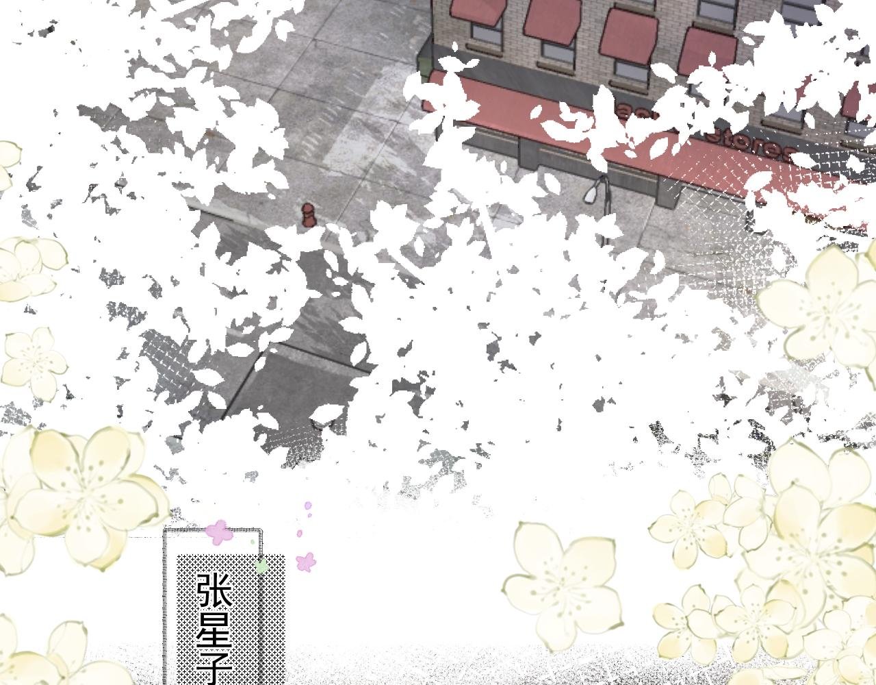 第一颗星