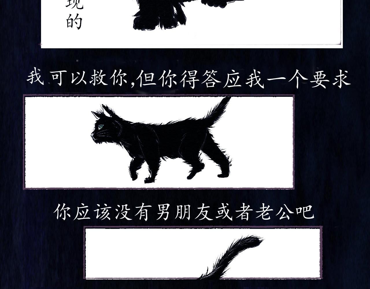 猫之誓约