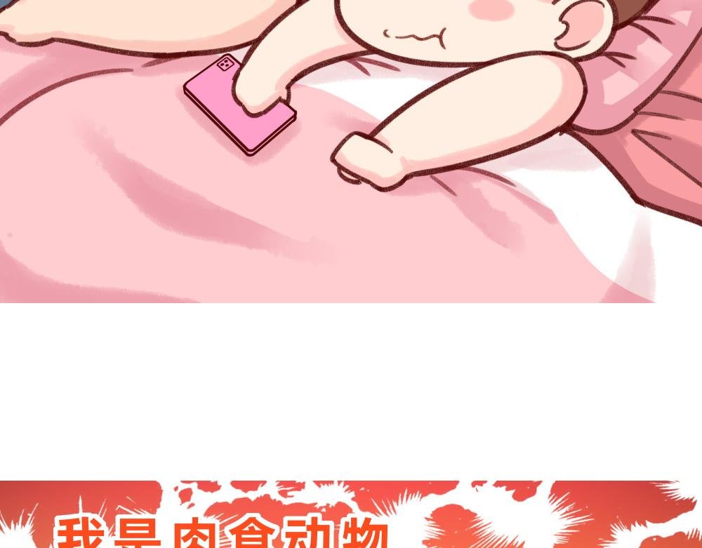逛街前的准备+肉食动物