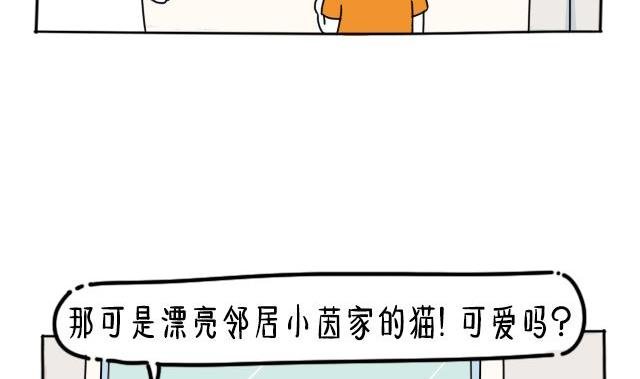 丁丁约会小美喵