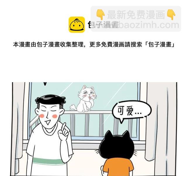 丁丁约会小美喵