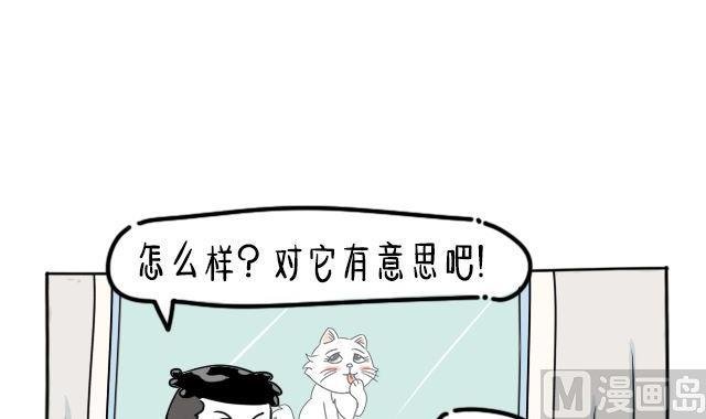 丁丁约会小美喵