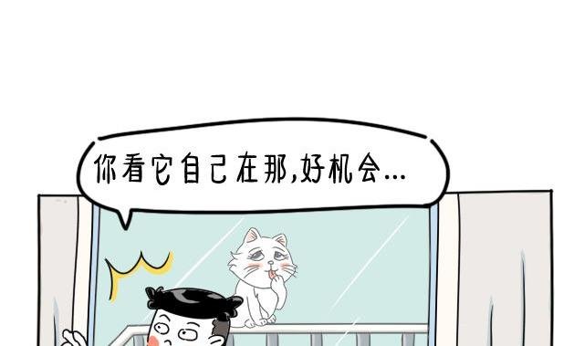 丁丁约会小美喵