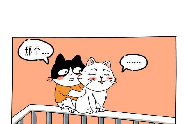 丁丁约会小美喵