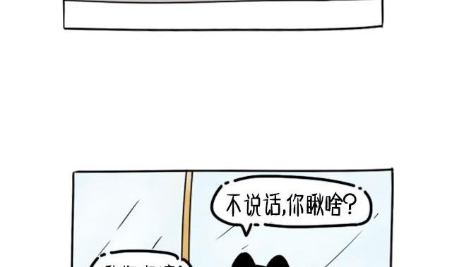 不说话 你瞅啥