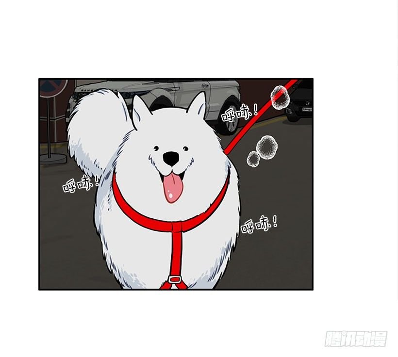 信息