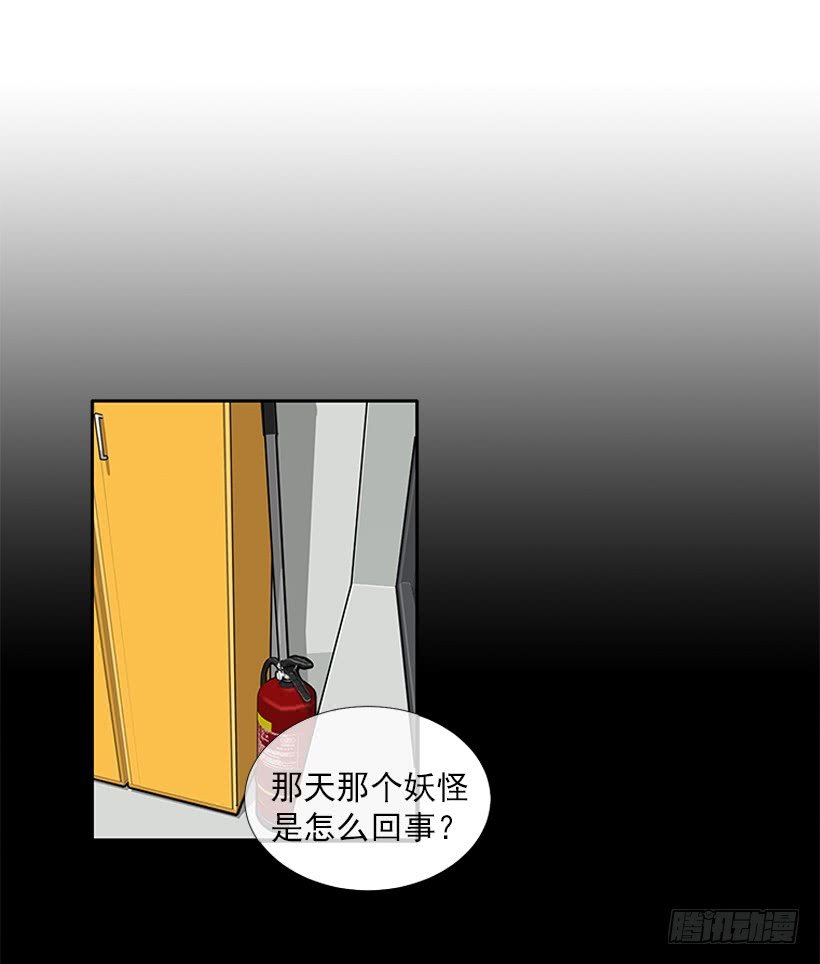 103.撸猫