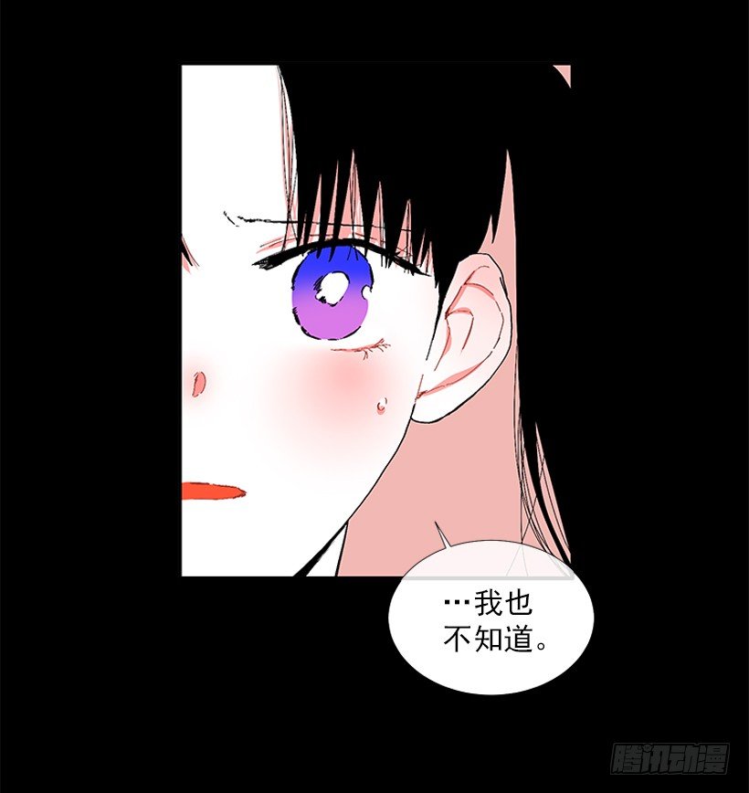 103.撸猫