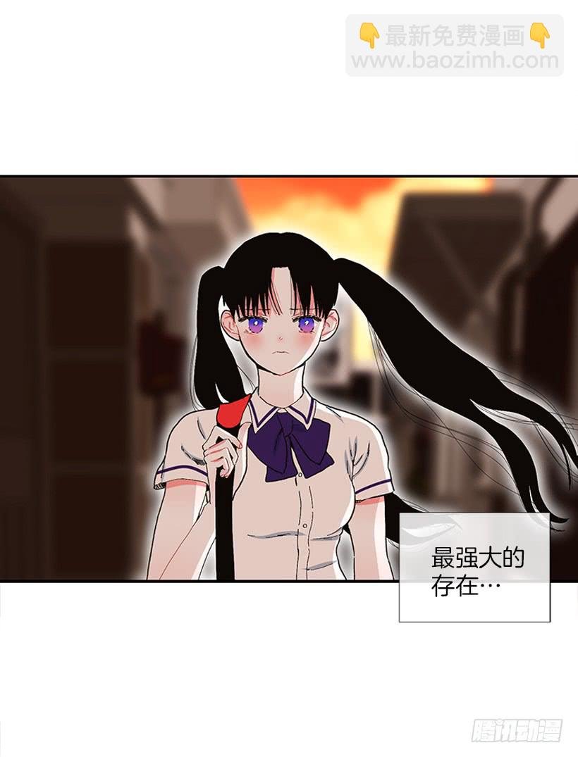103.撸猫