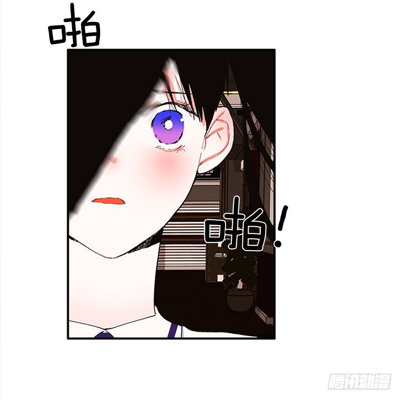 103.撸猫