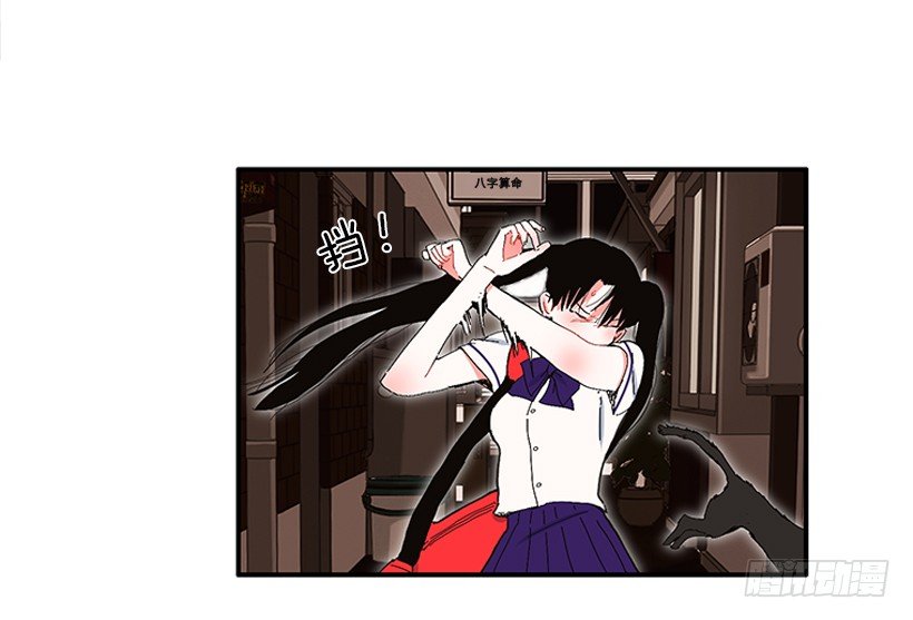 103.撸猫