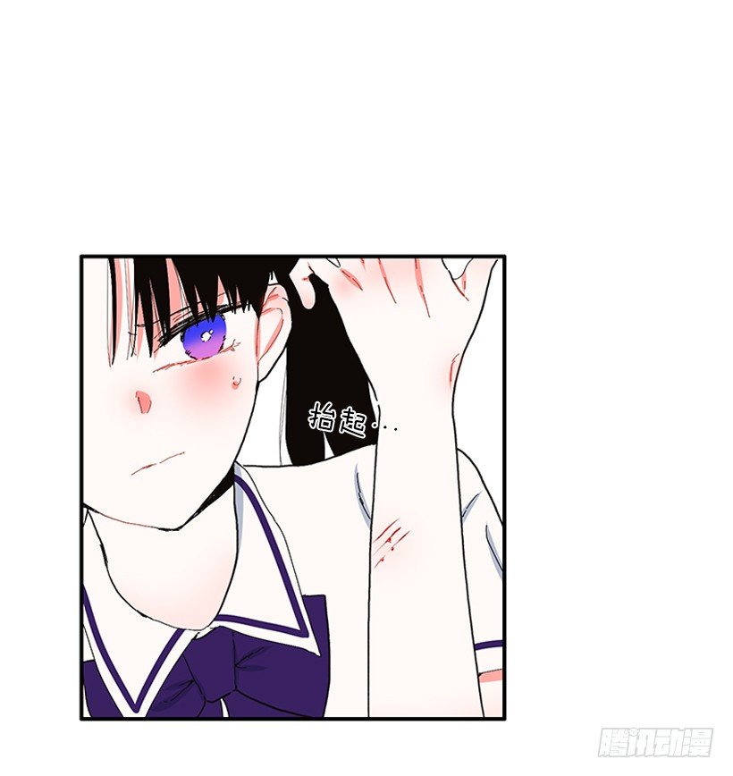 103.撸猫