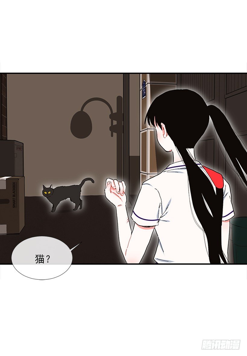 103.撸猫