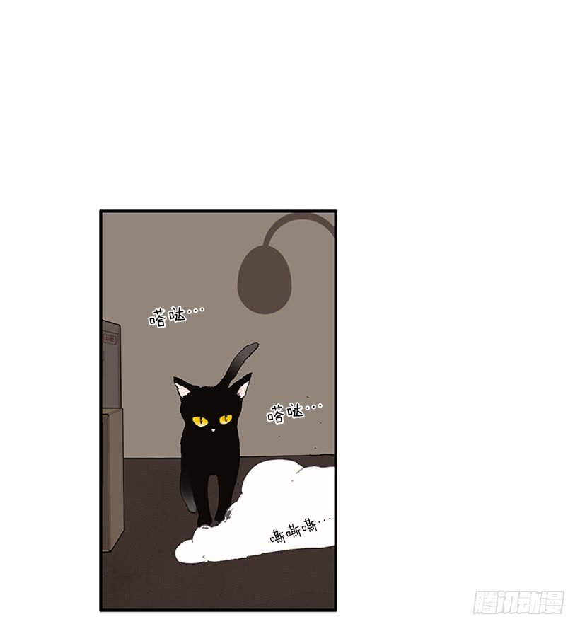 103.撸猫