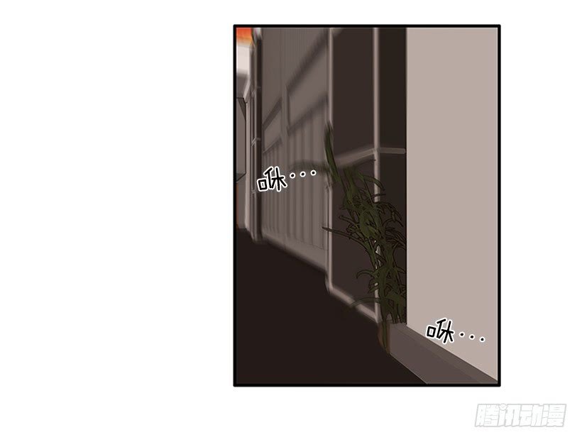 107.我不相信