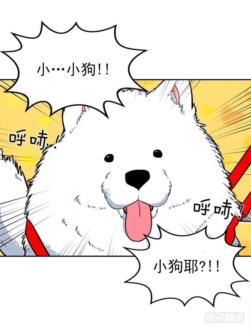 和我打一架吧！