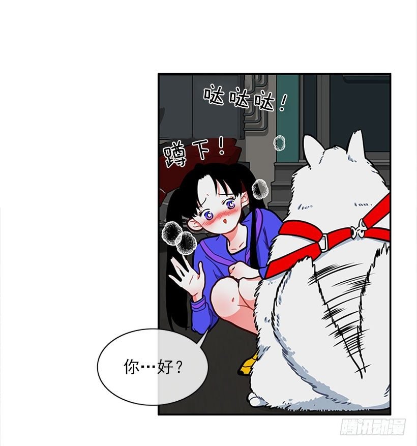 和我打一架吧！