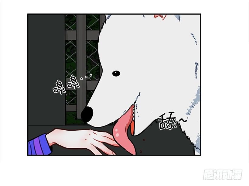 和我打一架吧！