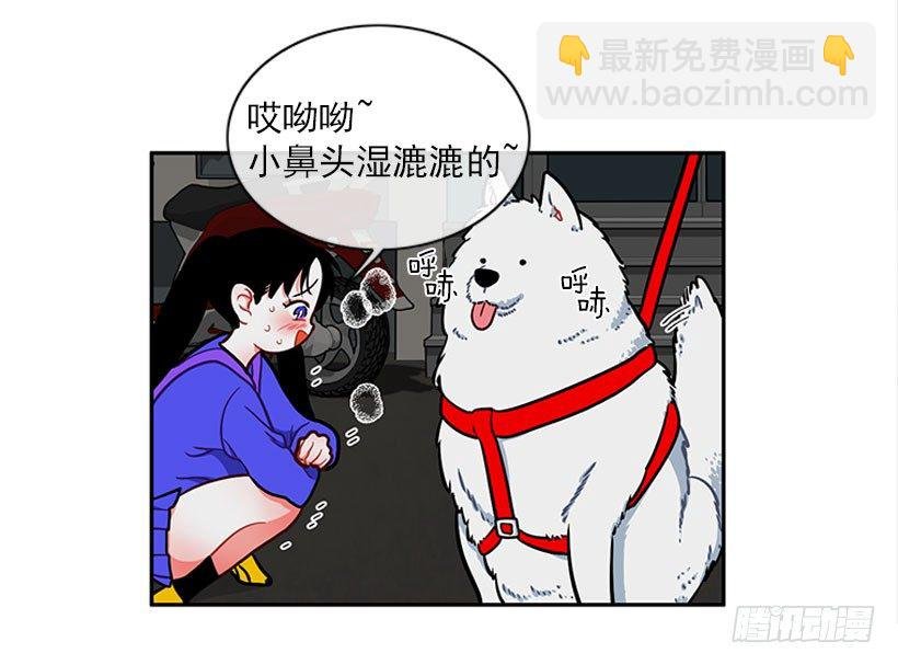 和我打一架吧！