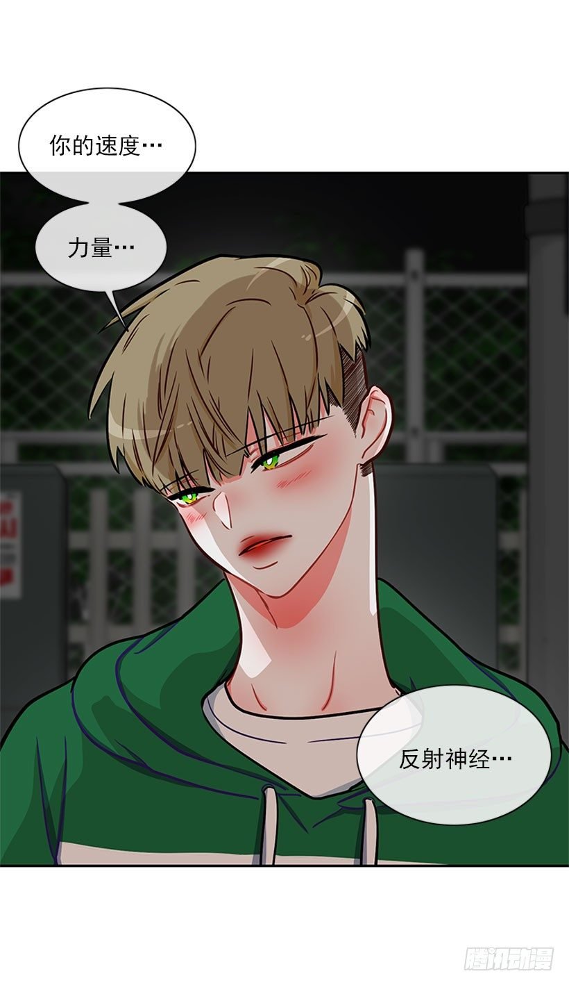 和我打一架吧！