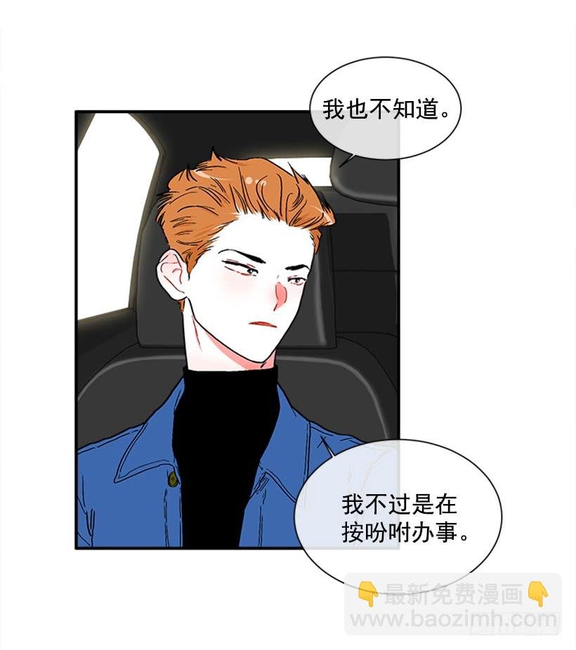 130.家猫和流浪猫