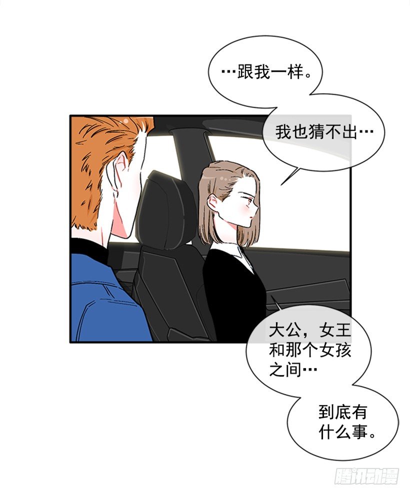 130.家猫和流浪猫