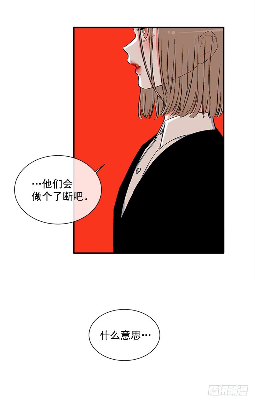 130.家猫和流浪猫