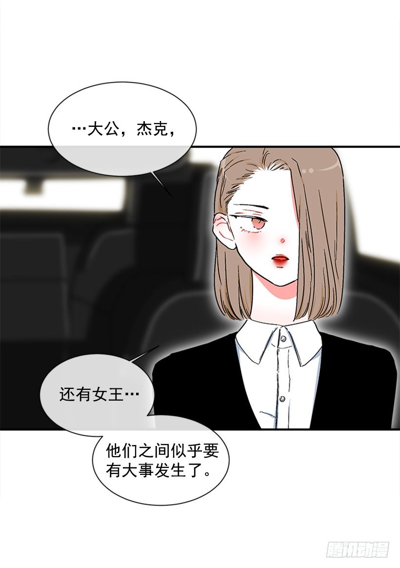 130.家猫和流浪猫