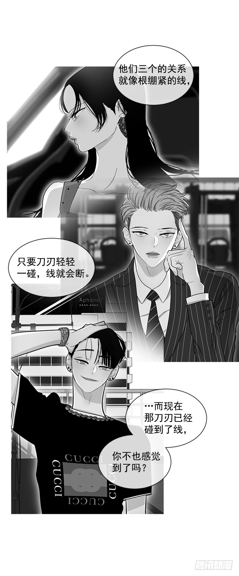 130.家猫和流浪猫