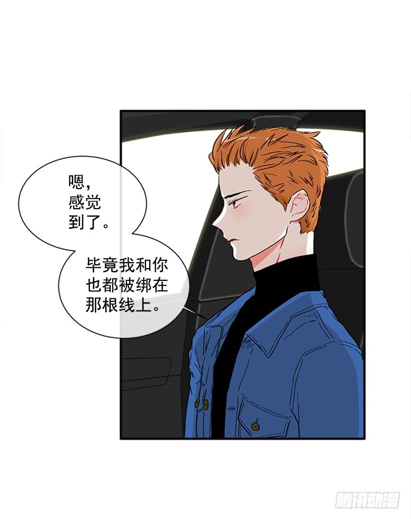 130.家猫和流浪猫