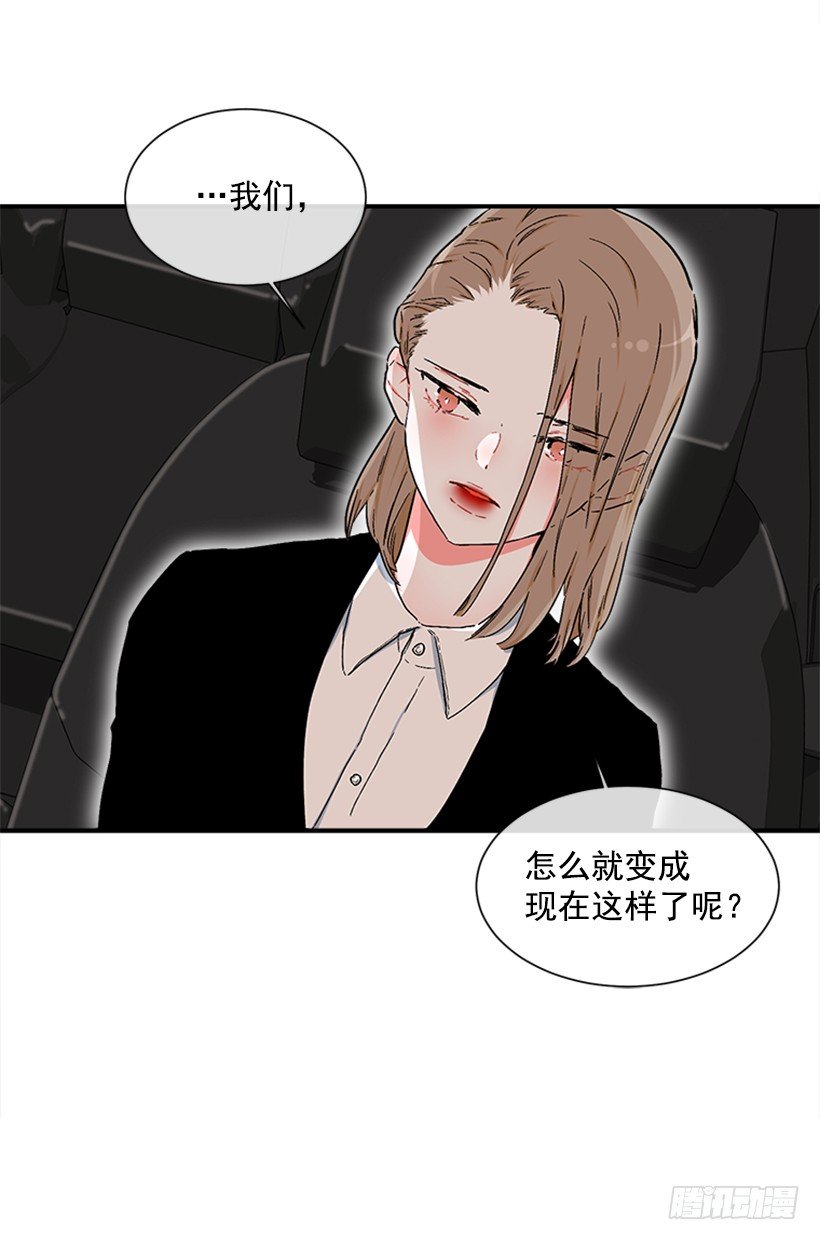 130.家猫和流浪猫