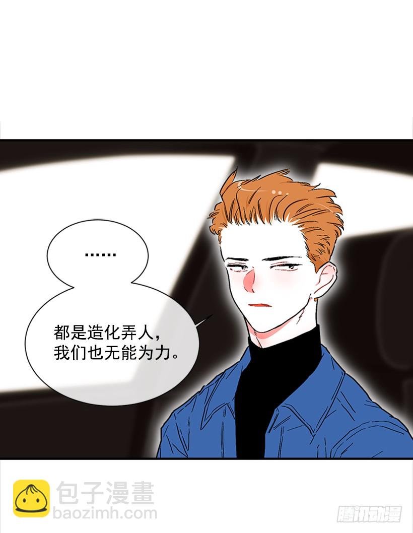 130.家猫和流浪猫