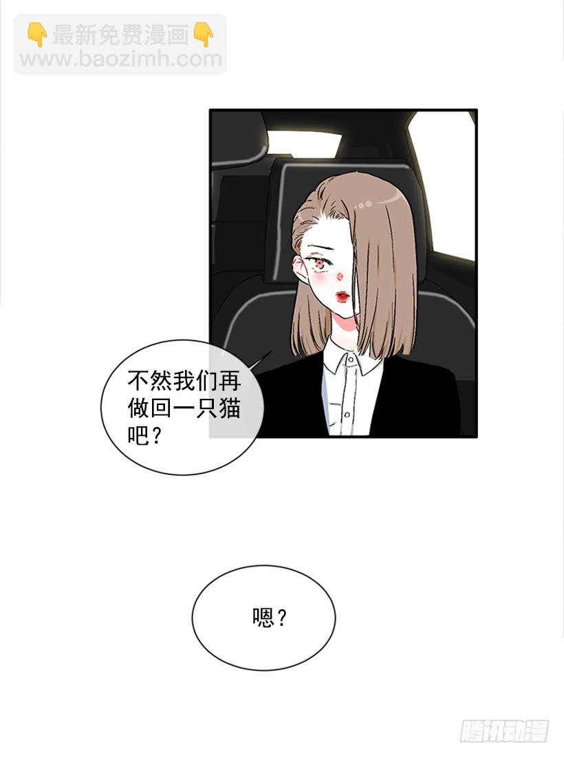 130.家猫和流浪猫