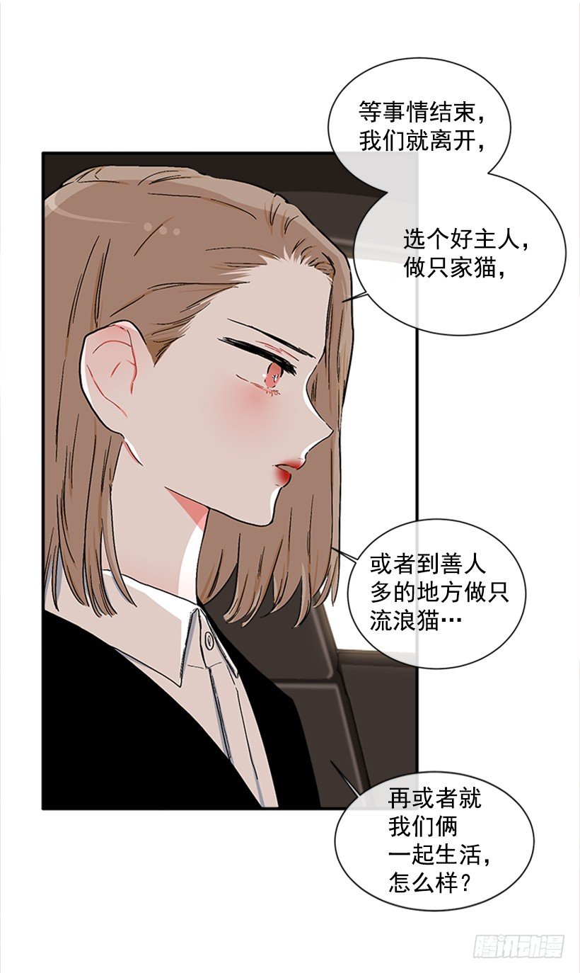 130.家猫和流浪猫