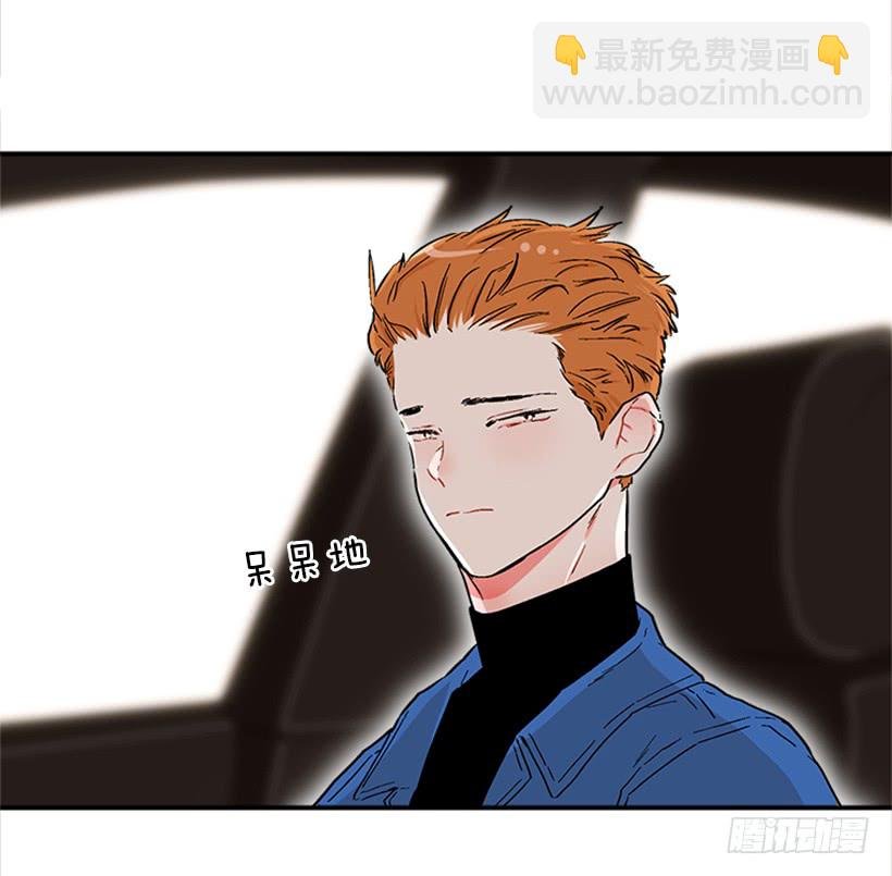 130.家猫和流浪猫
