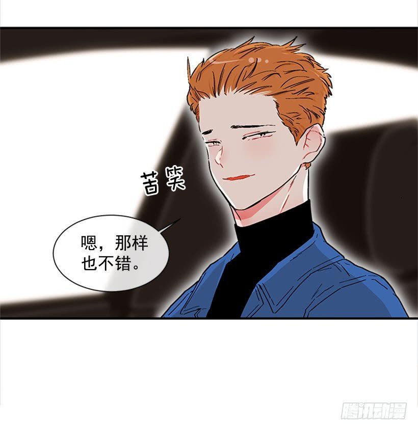 130.家猫和流浪猫