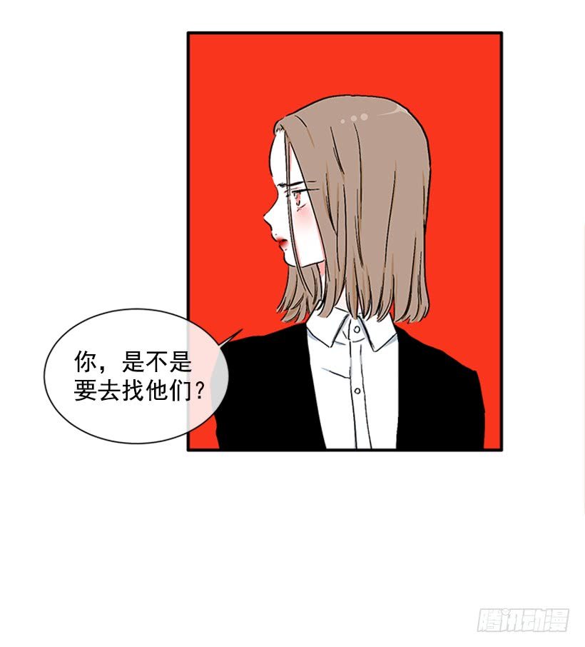 130.家猫和流浪猫