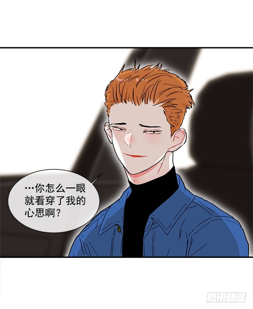 130.家猫和流浪猫