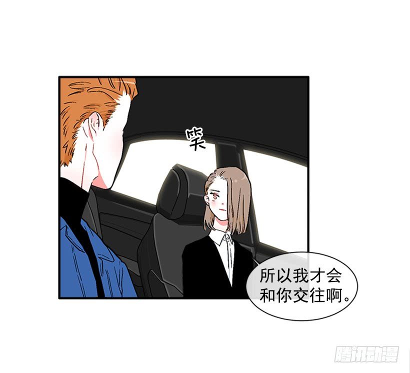 130.家猫和流浪猫