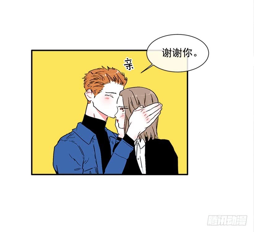 130.家猫和流浪猫