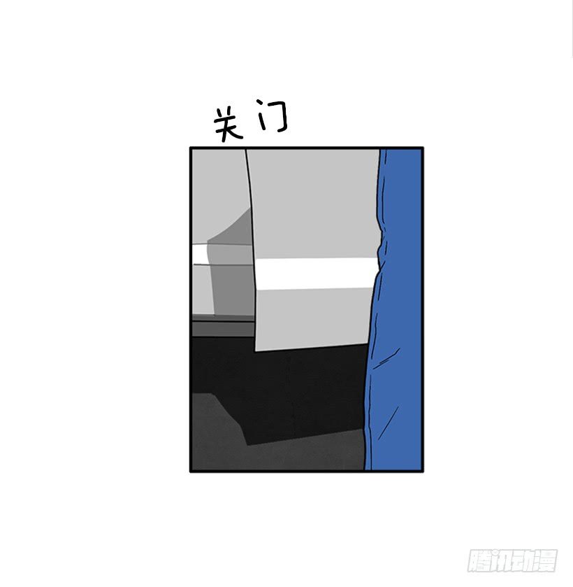 130.家猫和流浪猫