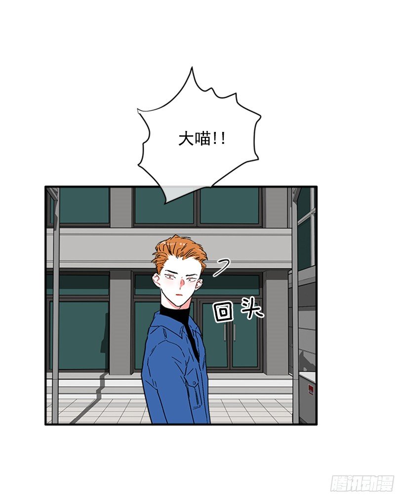 130.家猫和流浪猫