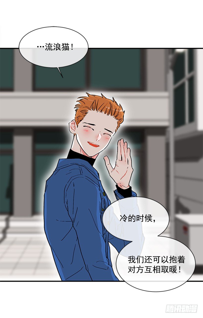 130.家猫和流浪猫