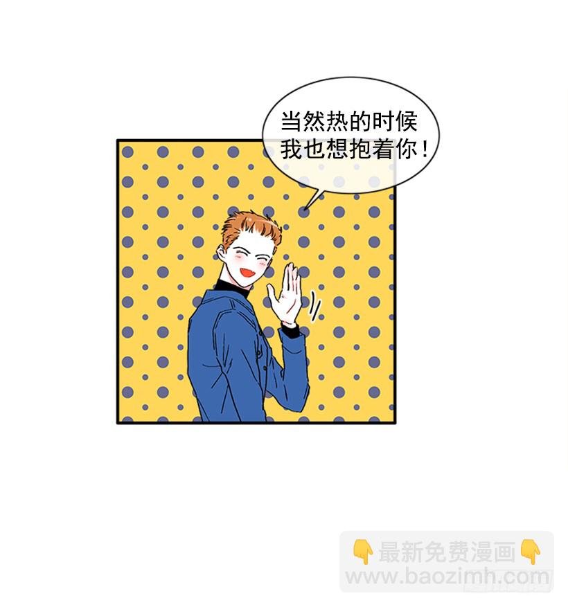 130.家猫和流浪猫