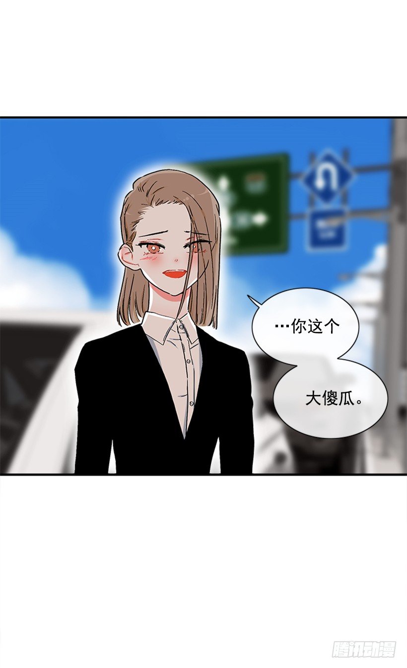130.家猫和流浪猫