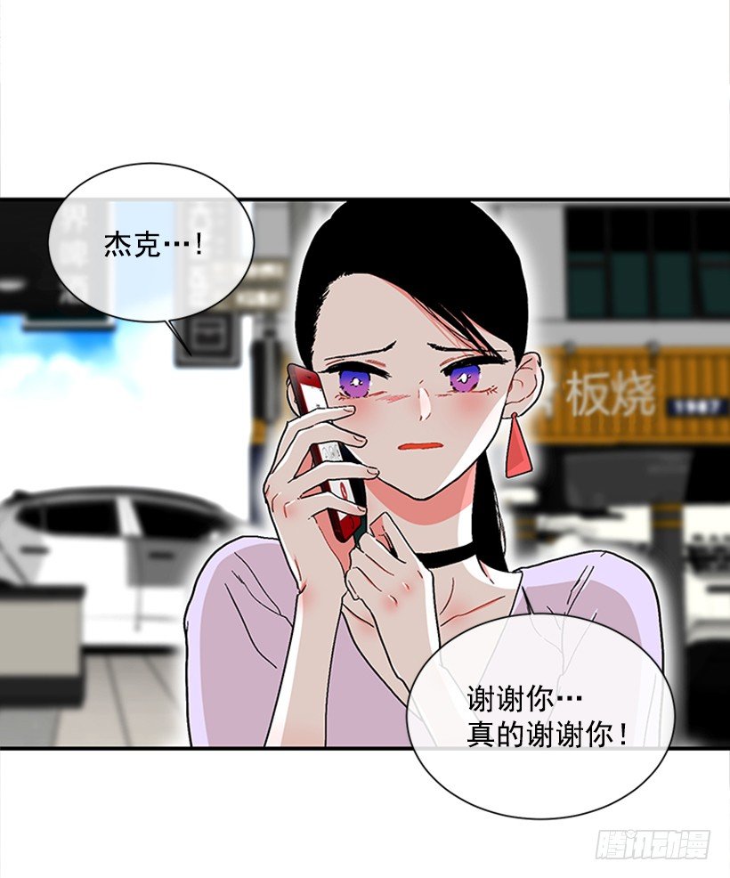 130.家猫和流浪猫